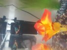 20180708_135139.jpg