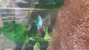 20180713_152812.jpg