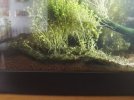 IMG-20180717-WA0039.jpg