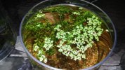 20180721_195058.jpg