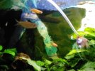 IMG_20180723_163502_937.jpg
