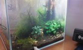 IMG-20180721-WA0004.jpg