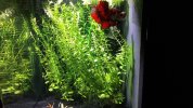 20180727_222747.jpg