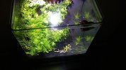 20180727_221833.jpg
