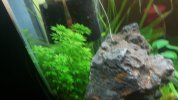 20180801_163920.jpg