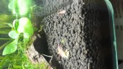 20180802_132845.jpg