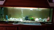 IMG-20180703-WA0000.jpeg