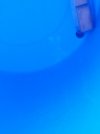 IMG_20180806_153941.jpg