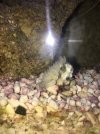 IMG-20180812-WA0000.jpg