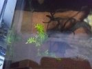 IMG_20180813_202133.jpg
