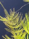IMG_20180814_173939.jpg