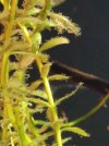 IMG_20180814_174007.jpg