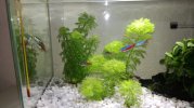 IMG-20180828-WA0001.jpg