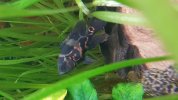 20180830_202237.jpg