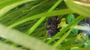 20180830_202259.jpg