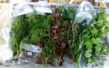 IMG-20180819-WA0001.jpg