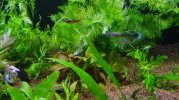 IMG-20180821-WA0014.jpeg