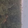 20180907_120038.jpg