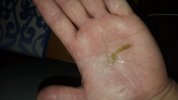 20180912_152358.jpg