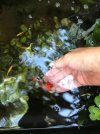 IMG-20180930-WA0003.jpg
