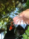 IMG-20180930-WA0006.jpg