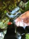 IMG-20180930-WA0009.jpg