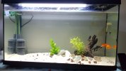 20180930_214612.jpg