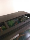 IMG_20181002_235723.jpg