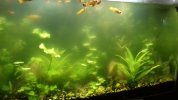 20181007_202632.jpg