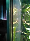 IMG_20181004_184907_527.jpg