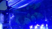 20181015_161620-compressed.jpg