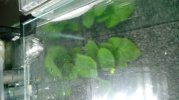 20181015_161642_Burst01-compressed.jpg