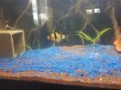 20181009_153858.jpg