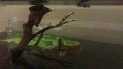 IMG-20181026-WA0001.jpg