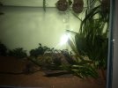 IMG-20181024-WA0003.jpg
