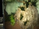 IMG-20181024-WA0001.jpg