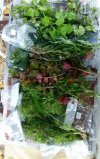 IMG-20181030-WA0003.jpg
