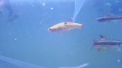 IMG_20181103_135215.jpg