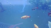IMG_20181103_135242.jpg