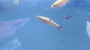 IMG_20181103_135307.jpg