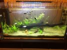 acuario2.jpg