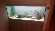 20181120_190721.jpg