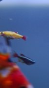IMG_20181202_184327.jpg