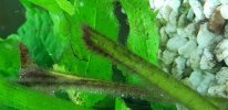20181203_205735.jpg