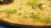IMG-20181210-WA0052.jpeg
