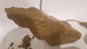 20181216_204603.jpg