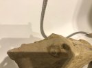 IMG-20181218-WA0002.jpg