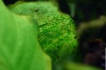 81960E75-D9FF-4FE3-BA28-58F9E7EAE9D4.jpeg