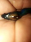 20190109_172012.jpg