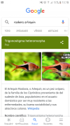 Screenshot_20190110-121850.png